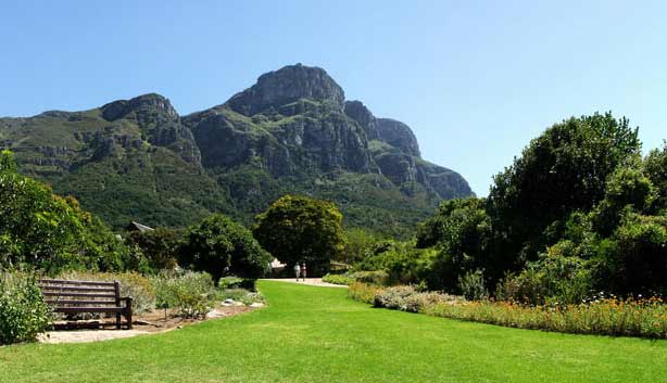 Kirstenbosch Gardens